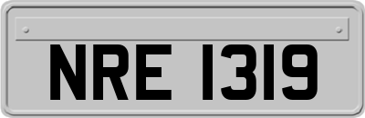 NRE1319