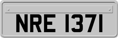 NRE1371