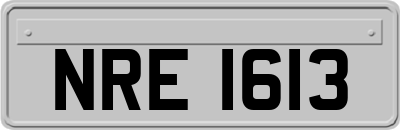 NRE1613