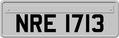 NRE1713