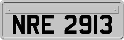 NRE2913
