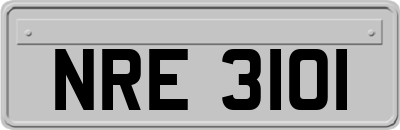 NRE3101