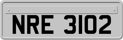 NRE3102