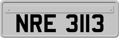 NRE3113