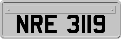 NRE3119