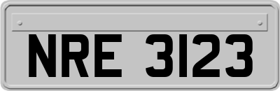 NRE3123