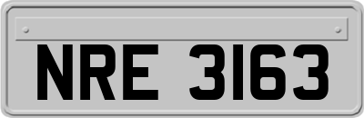 NRE3163