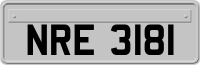 NRE3181