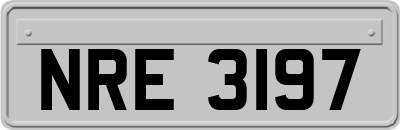 NRE3197
