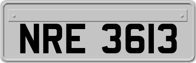NRE3613