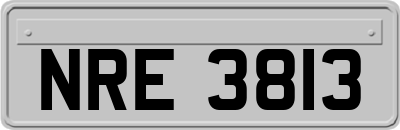 NRE3813
