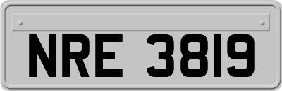 NRE3819