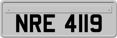 NRE4119
