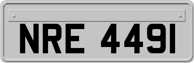 NRE4491