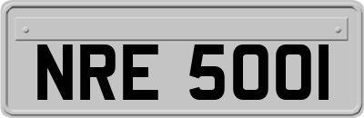 NRE5001