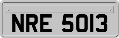 NRE5013