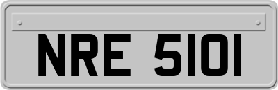 NRE5101