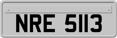NRE5113