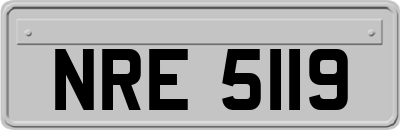 NRE5119