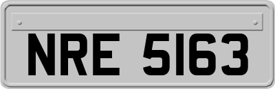 NRE5163