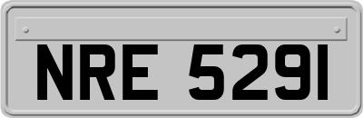 NRE5291