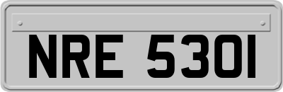 NRE5301