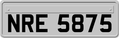 NRE5875