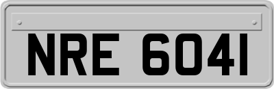 NRE6041