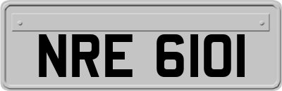 NRE6101