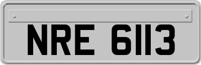 NRE6113