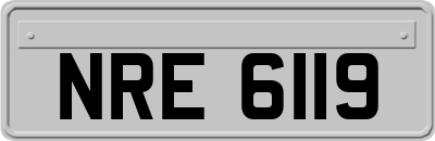 NRE6119