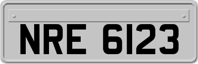 NRE6123