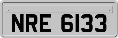 NRE6133