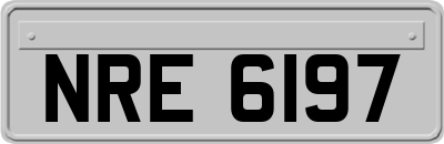 NRE6197