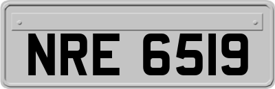 NRE6519