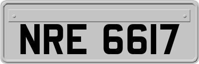 NRE6617
