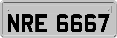 NRE6667