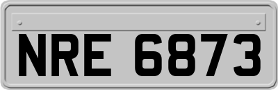 NRE6873