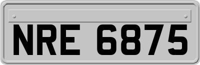 NRE6875
