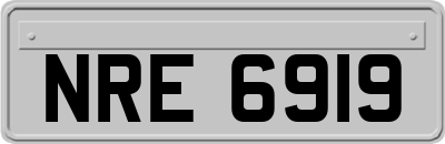 NRE6919