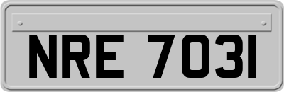 NRE7031
