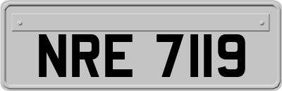 NRE7119