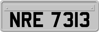 NRE7313