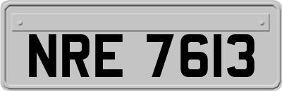 NRE7613