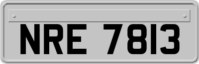 NRE7813