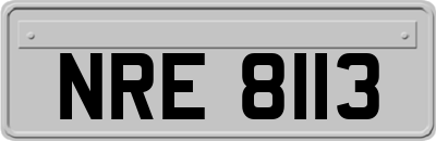 NRE8113