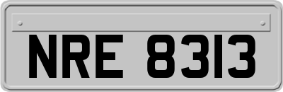 NRE8313