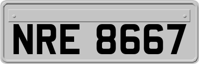 NRE8667