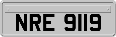 NRE9119