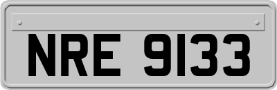 NRE9133